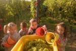Wijnroute 6 Frankrijk vakantieland FranceComfort kinderen gezin luxe vakantiehuis zwembad internet.J