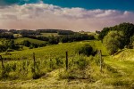 Wijnroute 9 Frankrijk Dordogne Languedoc luxe villa vakantiepark zwembad wandelen appellation wijnga