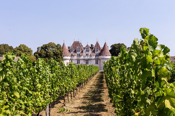 Bergerac 5 Monbazillac chateau tijdens vakantie in Dordogne Frankrijk.jpg