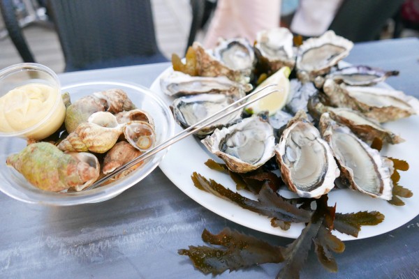 Andernos les bains 4 bassin arcachon oesters strand haven vakantie Frankrijk.jpg
