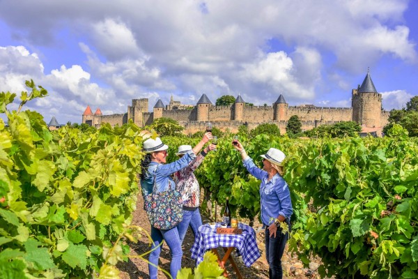 Wijn Languedoc 4 Roussillon zuid Frankrijk druiven vakantie aoc cabardes.jpg