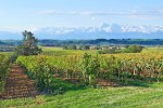 Abbaye 10 Abdij Hilaire Limoux blanquette brut wijn vignoble vakantie villa Frankrijk carcassonne qu