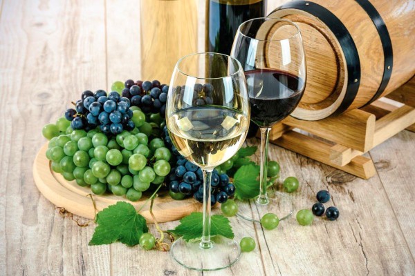 Wijn 15 Frankrijk Languedoc Dordogne Provence Bordeaux vakantiehuis.jpg