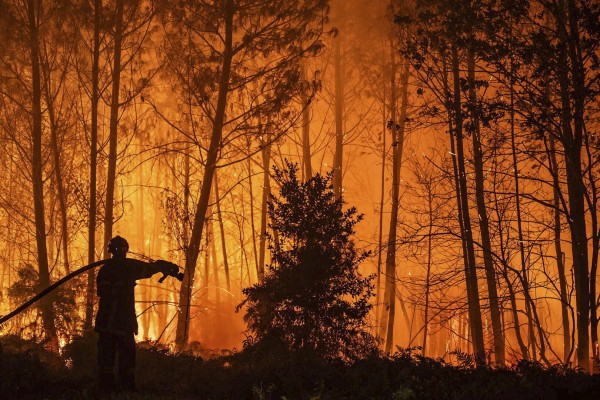 Bosbrand 5 Frankrijk brandbestrijding tijdens vakantie.jpg