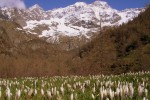 Pyreneeen 9 Frankrijk vakantieland nederlands vakantiehuis luxe dordogne ariege languedoc midi villa