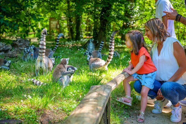 Dierenpark 5 Poitou-Charentes apen vakantie Les Forges Frankrijk gezin met kinderen.jpg